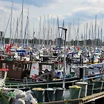 Ostseeclick Damp